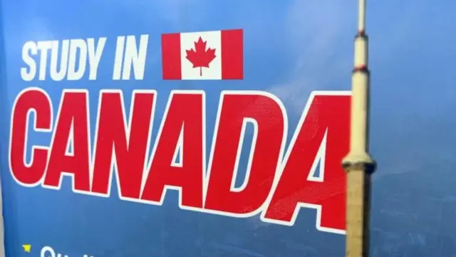 ਸੰਕੇਤਕ ਤਸਵੀਰ