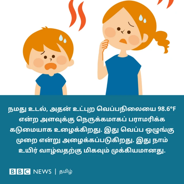 நமது உடல், அதன் உட்புற வெப்பநிலையை 98.6°F என்ற அளவைச் சுற்றியே பராமரிக்க கடுமையாக உழைக்கிறது. இந்தச் செயல்முறை வெப்ப ஒழுங்குமுறை என்று அழைக்கப்படுகிறது. இது உயிர் வாழ்வதற்கு மிகவும் முக்கியமானது.