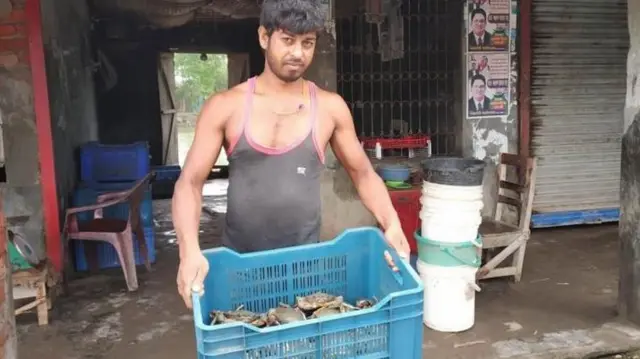 কাঁকড়ার ব্যবসা