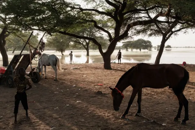 Le gouvernement de Wallonie-Bruxelles menace de suspendre les financements liés à la coopération climatique au Sénégal. 