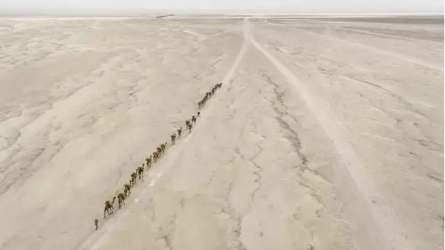 Urukurikirane rw'ingamiya muri Ethiopia