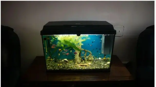 Aquarium