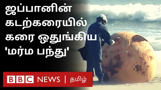 ஜப்பான் மக்களை குழப்பத்தில் ஆழ்த்திய 'மர்ம பந்து'