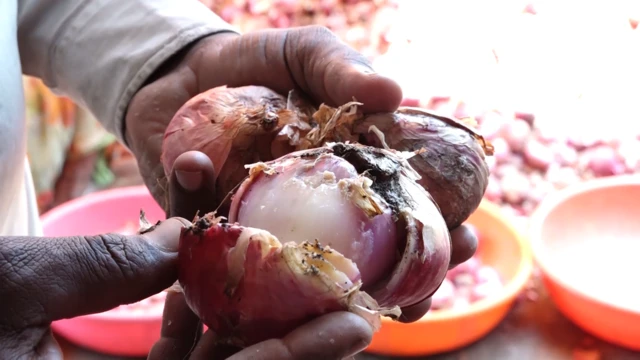 राहुल यांच्या शेतातील कांदा पिकाची अशी अवस्था झाली आहे. 