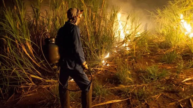 Em foto noturna, trabalhador com equipamentos para manejar fogo; ao fundo, se vê cana queimando