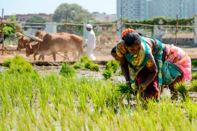 மத்திய பட்ஜெட் 2023-24