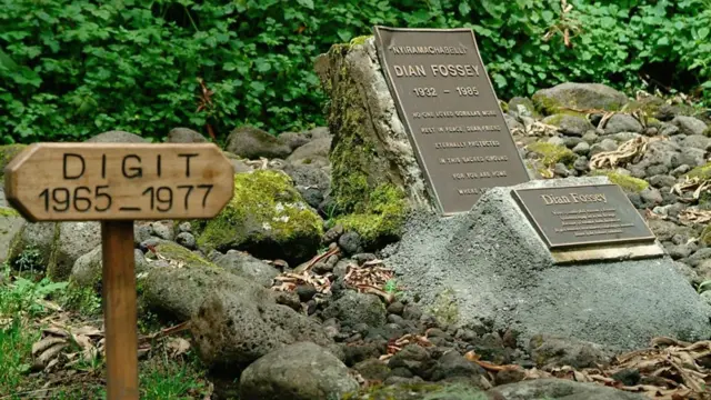 Гроб Дајан Фоси