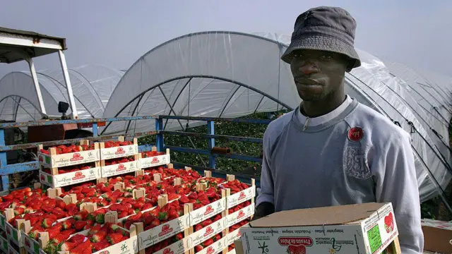 ਸਪੇਨ ਵਿੱਚ ਕਾਮੇ