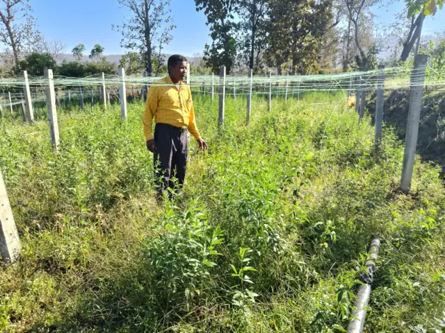 સુકીરાવભાઈ