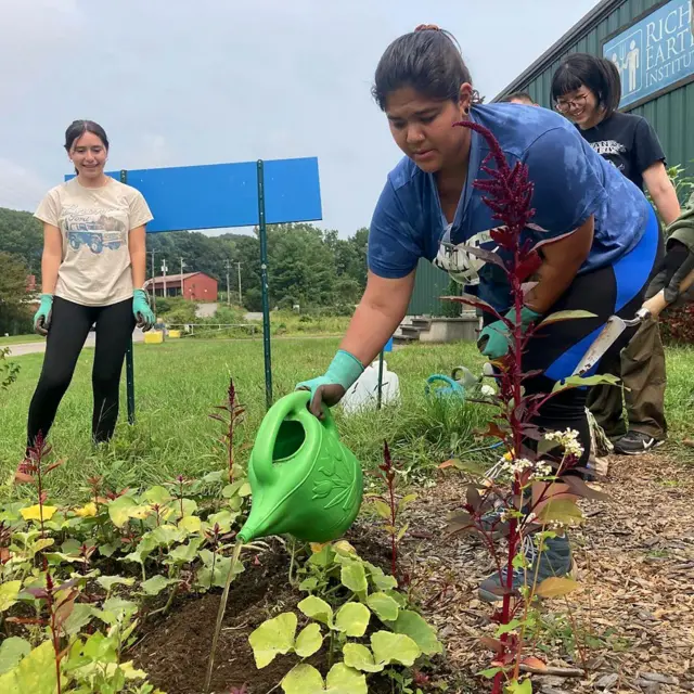 በሽንት ማዳበርያ ዙርያ የተሰሩ ጥናቶች በተወሰኑ ሰብሎች ላይ ምርት በእጥፍ እንዲጨምር እንደሚያደርግ አሳይተዋል።