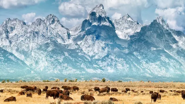 ਯੂਐੱਸ ਨੈਸ਼ਨਲ ਪਾਰਕ