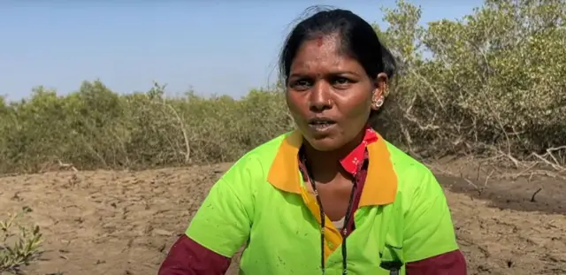 ચેરનાં વૃક્ષો, ભરૂચ, આદિવાસીઓ, ગુજરાત, બીબીસી ગુજરાતી