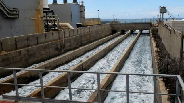 మాల్దీవులు