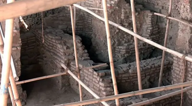 संशोधनातून काय समोर आले?