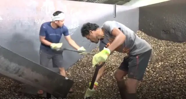 శ్రీకాకుళం