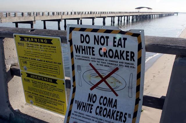 Un cartel en el muelle pesquero de Cabrillo en San Pedro dice que no se coma la corvina blanca que se pueda pescar allí.