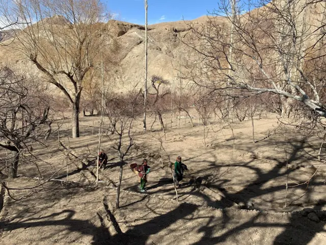 Kayısı yetiştiren çiftçiler