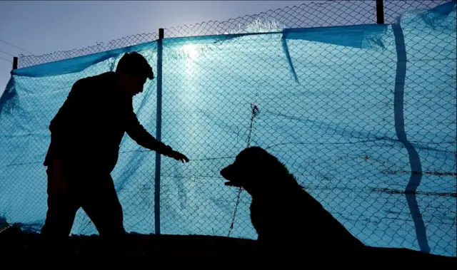 نمایی از فیلم 'همسایهها'