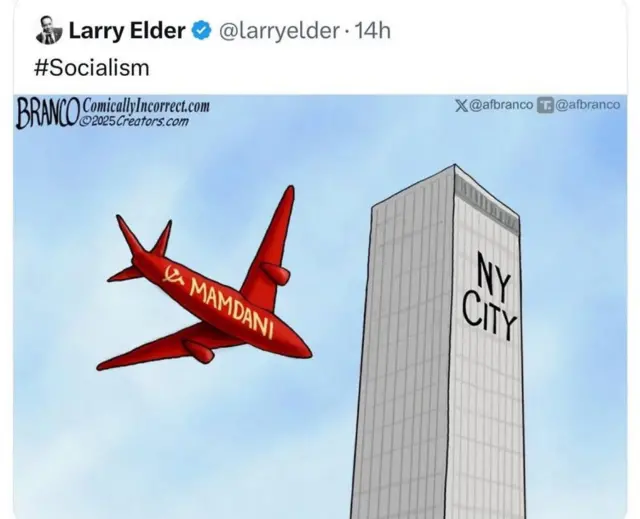 بعضی جمهوریخواهان و مخالفان کاریکاتورهایی از حمله به برجهای دو قلو با نام آقای ممدانی بر روی هواپیما منتشر کردند