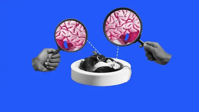 झोप, आरोग्य