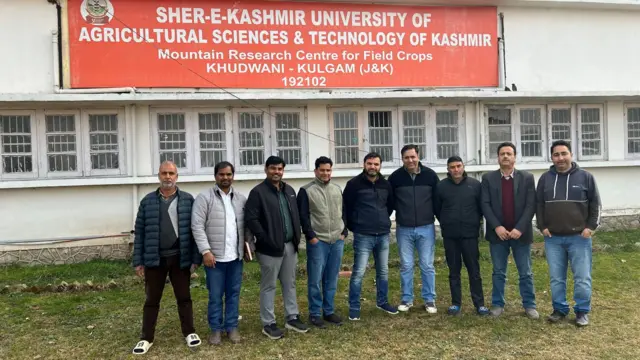 તુવેર, તુવેરદાળ, ગુજરાત, ગુજરાતમાં પાક, ગુજરાતની ખેતી, ભારતમાં ખેતી, કૃષિ, કઠોળ, બીબીસી ગુજરાતી