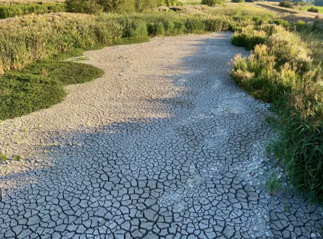 Ысык аптапта суунун буулануусу өтө тездейт