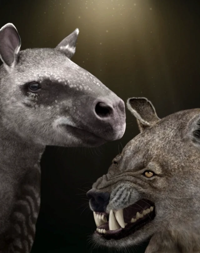 Динозаврлар кырылып жок болгондон кийин гирахиус (солдо) жана арктоцион сыяктуу ири өсүмдүк жегичтер жана жырткычтар тез арада пайда болушкан.