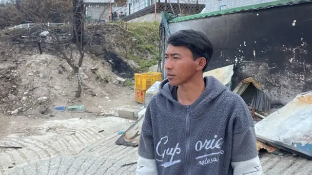 Sugianto, kebakaran, hutan, Korea Selatan