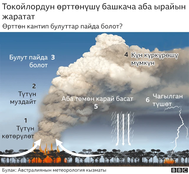 Өрттөн кантип буу пайда болот?