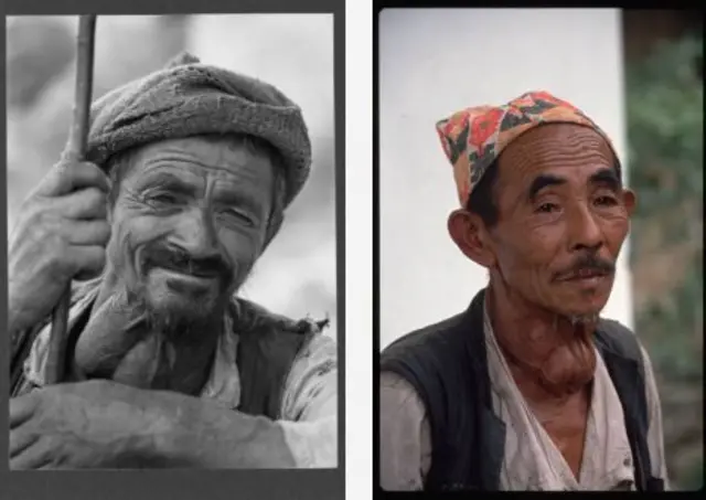 Dhiiroota lama dhibee quufa mormaatiin qabaman