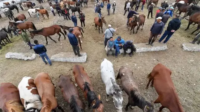 Қирғизистондаги мол бозори