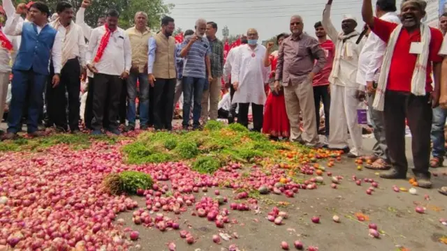 মহারাষ্ট্রের পেঁয়াজ চাষিরা ফসল নষ্ট করে দিচ্ছেন নিজেরাই