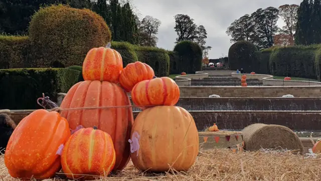 Autumn colours pictured in the North East and Cumbria