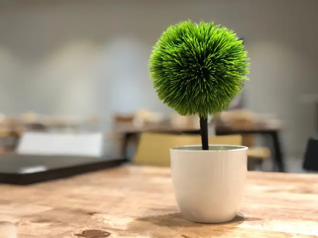 शुई झोऊ यानं त्याच्या या ऑफिसचे फोटो त्याच्या पालकांना पाठवले. 