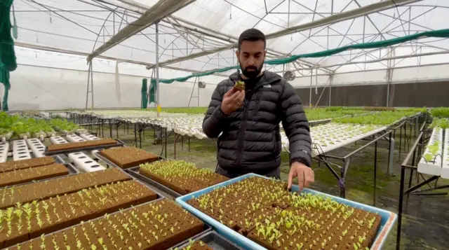 ਪ੍ਰਿਤਪਾਲ ਸਿੰਘ