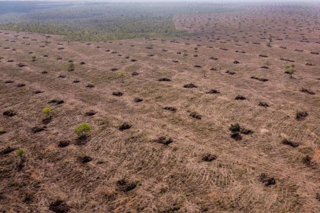 Área desmatada no Cerrado