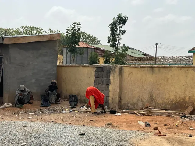 Women dey pick corn from di ground