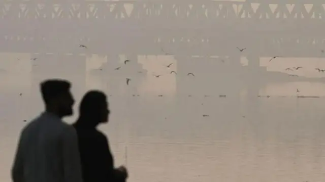 ફેફસાં, કેન્સર, આરોગ્ય, ગુજરાત, ભારત 