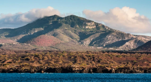 Ascension Adası'nın görüntüsü. Kıyıdan fotoğrafta arkada bir dağ görünüyor.