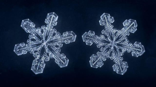 Copos de nieve: ciencia y leyenda - Formas que nos hipnotizan