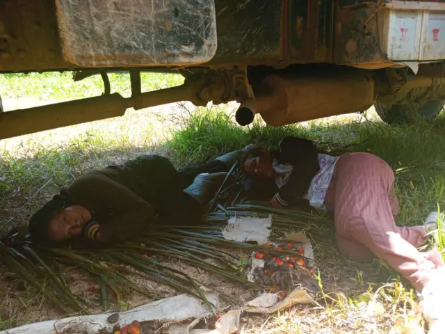 Dua petani plasma mencoba menghalangi pengangkutan tandan buah sawit yang dipanen dari perkebunan plasma.