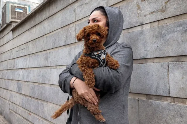 Seorang perempuan muda berdiri sambil memegang seekor anjing di luar gedung perkantoran di Teheran, Iran, yang menjadi sasaran serangan rudal pada 29 Maret 2026.