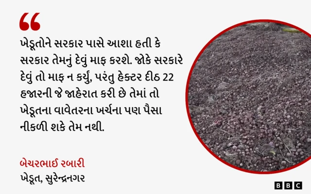 માવઠાને કારણે કપાસના પાકને નુકસાન, બીબીસી ગુજરાતી, ગુજરાતમાં ખેતી, ગુજરાતના ખેડૂતો, ભૂપેન્દ્ર પટે, જિતુ વાઘાણી, ભાજપ, કૉંગ્રેસ, આમ આદમી પાર્ટી, ગુજરાત સરકારની સહાય, મગફળીને નુકસાન
