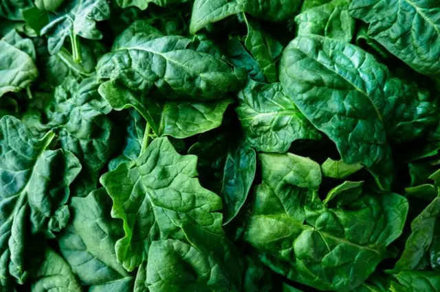 Green leafy vegetables