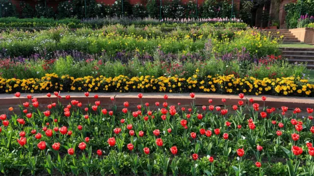 அம்ரித் உத்யான்