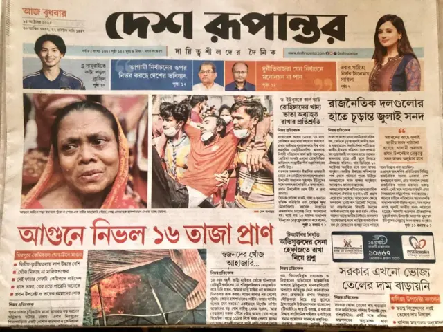 Yosh kaltaklar rasmlar