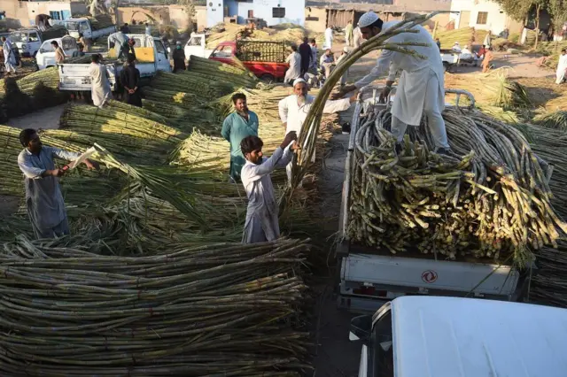 شوگر مل، چینی