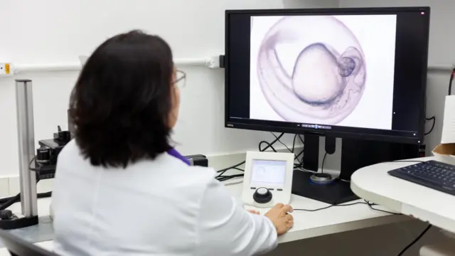 Cientista analisando embrião do zebrafish