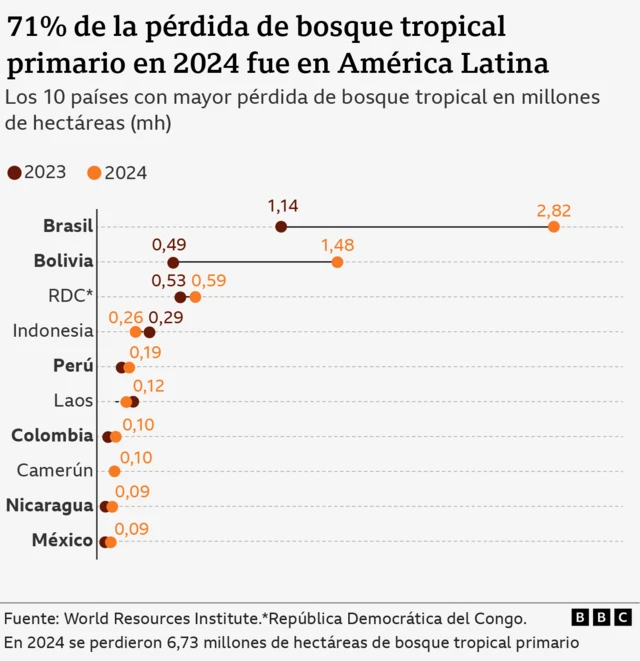 Gráfico con los 10 países que más bosques perdieron en 2024