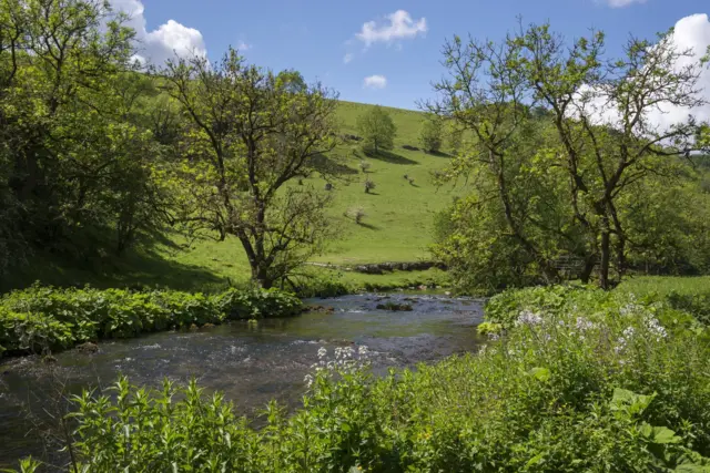 Летний пейзаж, речка среди холмов